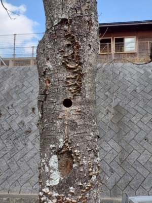 s-s-20240314_132306.jpg