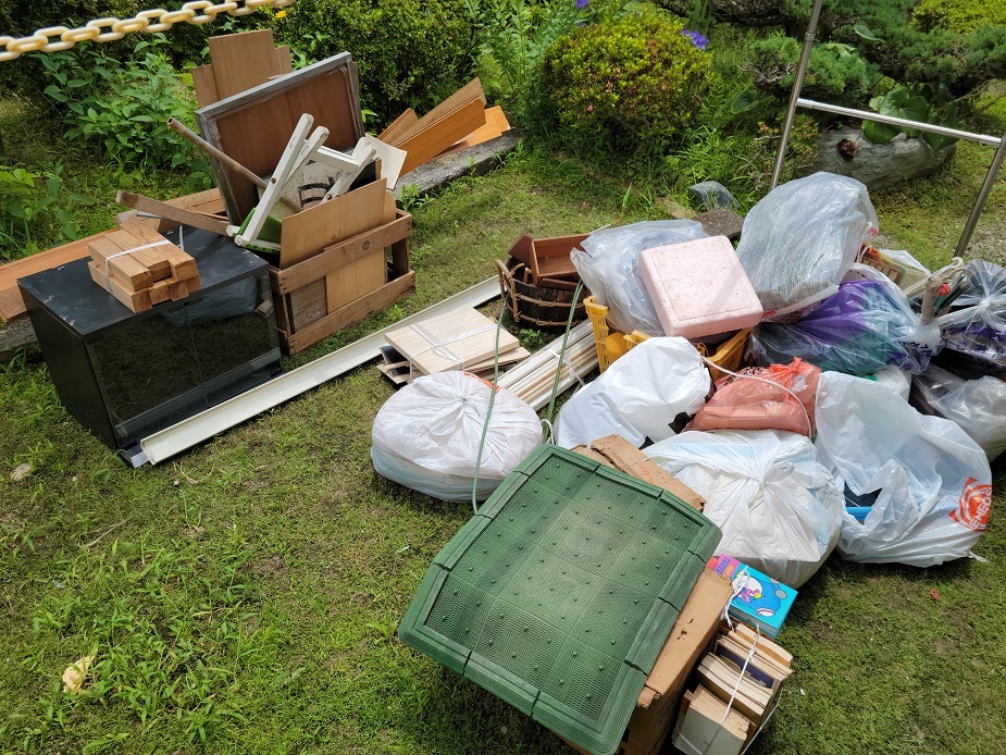 20230622_130741.jpg
