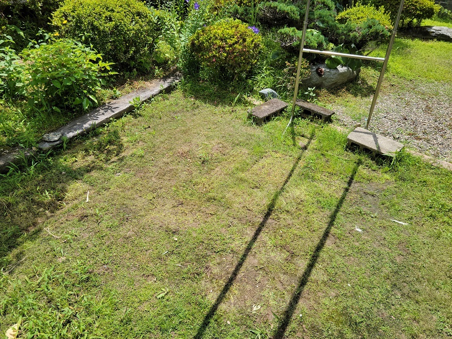 20230622_131954.jpg