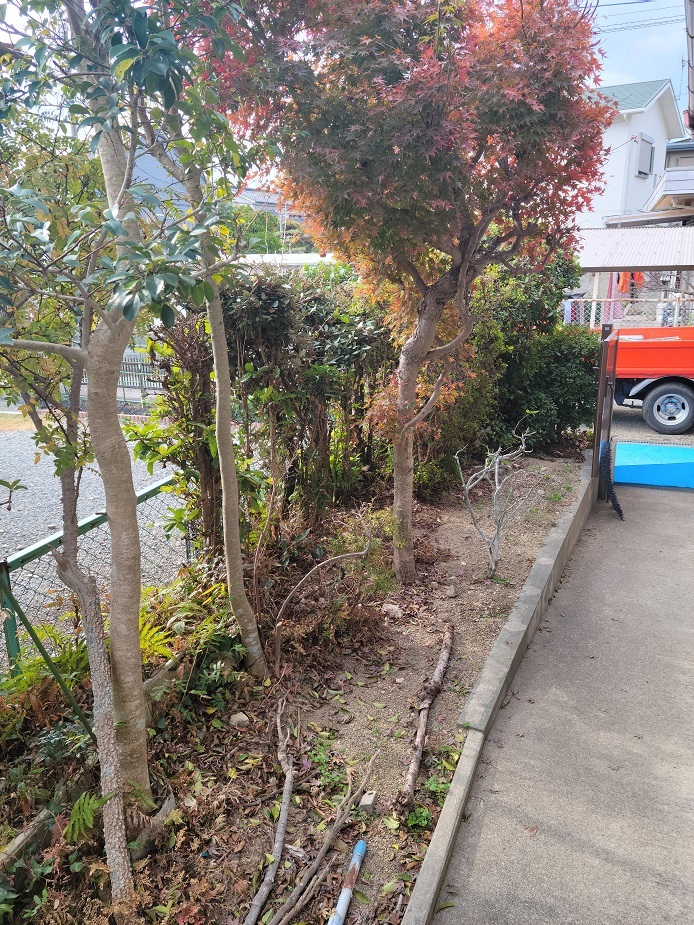 20231130_130341.jpg