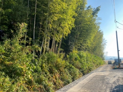 s-1699515915807.jpg