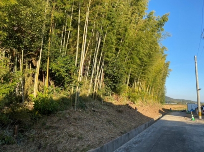 s-1699515918772.jpg