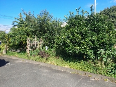 s-20230926_092755.jpg