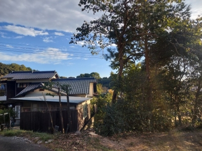 s-20231020_163124.jpg