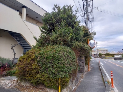 s-20231113_154722.jpg