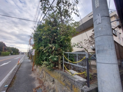 s-20231113_154804.jpg