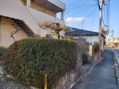 s-20231227_152558.jpg