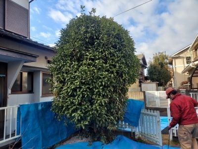 s-20240111_092557.jpg