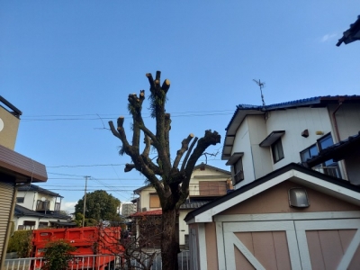 s-20240111_121026.jpg