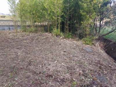 s-20240111_155103.jpg